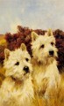Jacque And Jean Champion Westhighland White Terriers Arthur Wardle dog